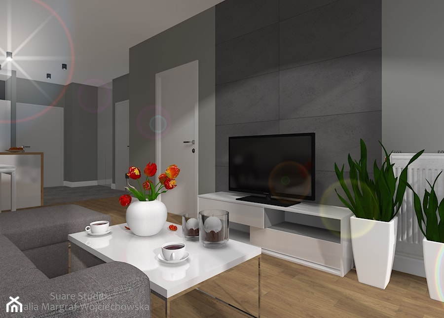 Aranżacja mieszkania - Mały biały szary salon z kuchnią z jadalnią, styl nowoczesny - zdjęcie od SUARE STUDIO Natalia Margraf-Wojciechowska