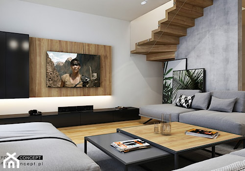 Salon widok na ścianę TV - zdjęcie od ICONDESIGN