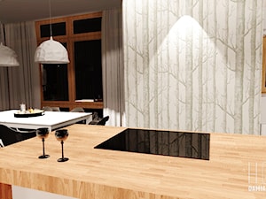 Open Floor Home Design / 2013 - Kuchnia - zdjęcie od Damian Widowski HOME / DESIGN LOVE BLOG