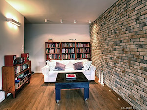 Mieszkanie dla dwojga - Salon - zdjęcie od Projektowizja