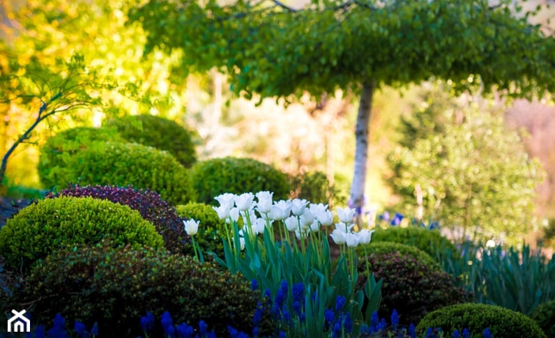 Wiosna w ogrodzie - zdjęcie od WIEJSKASIELANKA - BLOG: instagram: @wiejskasielanka_