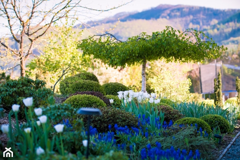 Wiosna w ogrodzie - zdjęcie od WIEJSKASIELANKA - BLOG: instagram: @wiejskasielanka_