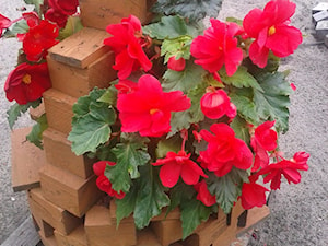Koszyki z klocków od palet wykonałam na działeczkę na kwiaty. - zdjęcie od Krystyna Tutus