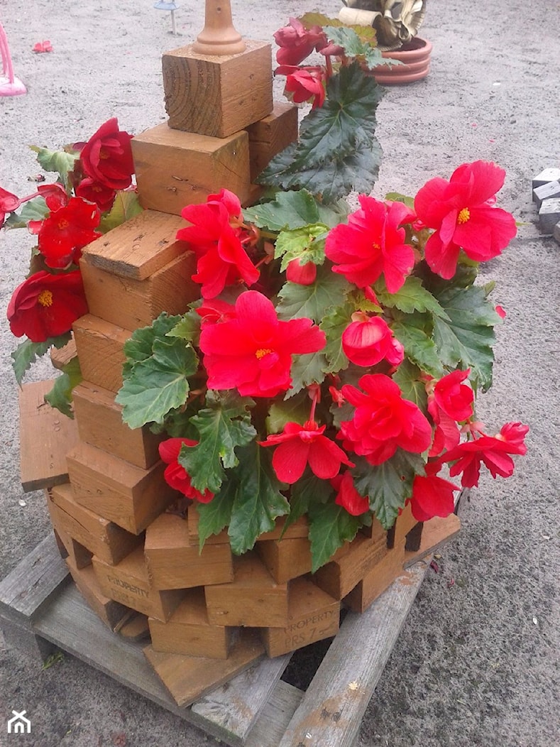 Koszyki z klocków od palet wykonałam na działeczkę na kwiaty. - zdjęcie od Krystyna Tutus - Homebook