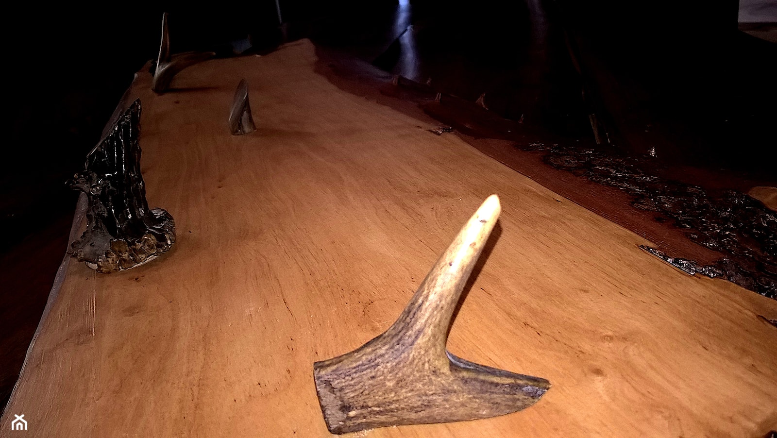 Wieszak drewniany Jeleń - zdjęcie od Pradolina Wisły - Homebook