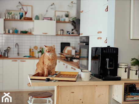 Aranżacje wnętrz - : - Beko. Przeglądaj, dodawaj i zapisuj najlepsze zdjęcia, pomysły i inspiracje designerskie. W bazie mamy już prawie milion fotografii!