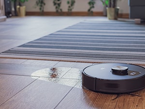 RoboSmart Home