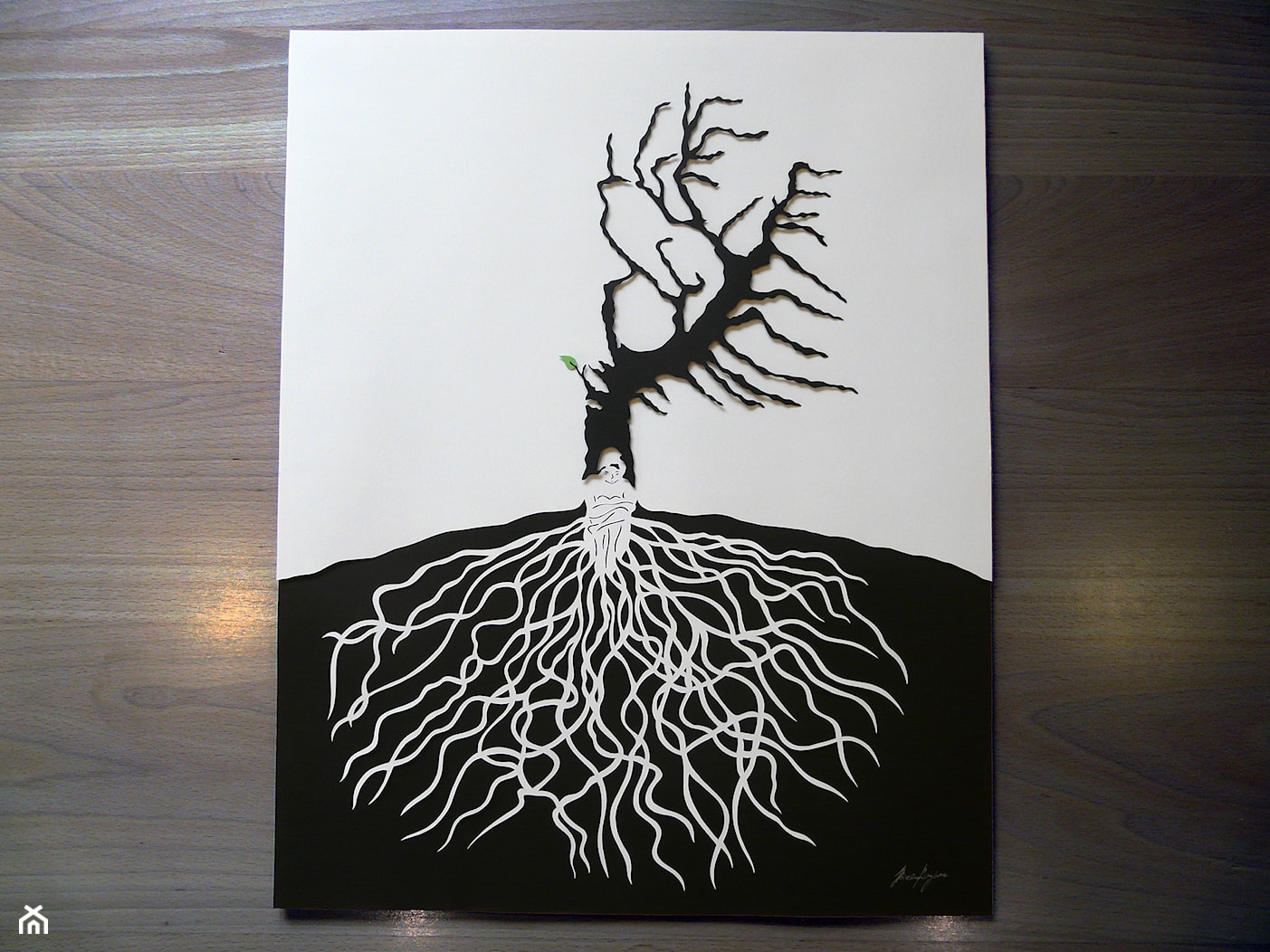 Dzewa o silnych korzeniach - zdjęcie od art@joanabieniasz.eu - Homebook