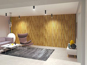 wnętrze domu jednorodzinnego - fragment | 62 m2 - Mały brązowy szary salon, styl nowoczesny - zdjęcie od duDesign | concept&design