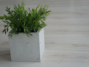 Donica betonowa Cubo - zdjęcie od blocco.pl