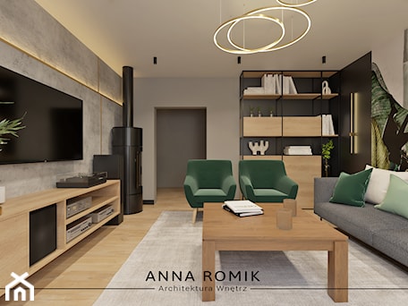 Aranżacje wnętrz - Salon: Salon 4 - Salon, styl industrialny - Anna Romik Architektura Wnętrz. Przeglądaj, dodawaj i zapisuj najlepsze zdjęcia, pomysły i inspiracje designerskie. W bazie mamy już prawie milion fotografii!