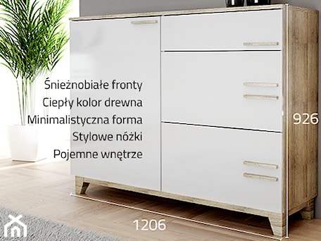 Aranżacje wnętrz - Salon: Komoda w stylu skandynawskim - aaaameble. Przeglądaj, dodawaj i zapisuj najlepsze zdjęcia, pomysły i inspiracje designerskie. W bazie mamy już prawie milion fotografii!