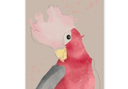 Plakat ścienny Pink Parrot - zdjęcie od info@humptydumpty.com.pl