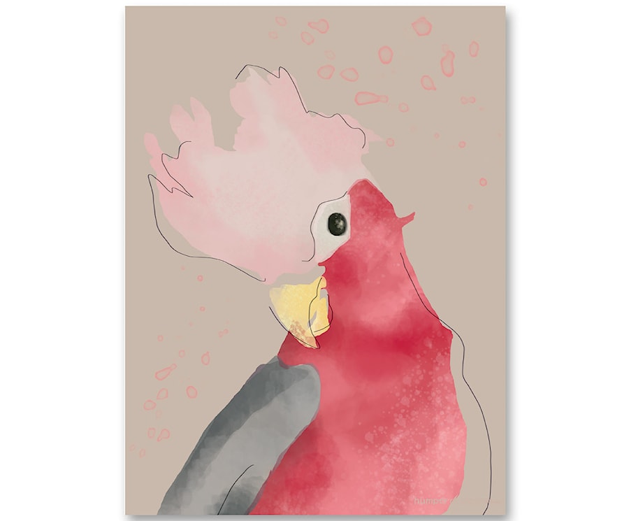 Plakat ścienny Pink Parrot - zdjęcie od info@humptydumpty.com.pl