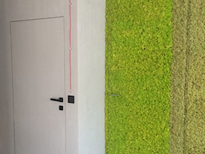 Drzwi ukryte z mchem - zdjęcie od drzwi Leon
