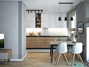 Salon z kuchnią - Średnia otwarta z kamiennym blatem szara z zabudowaną lodówką kuchnia jednorzędowa z oknem, styl skandynawski - zdjęcie od Totius Studio