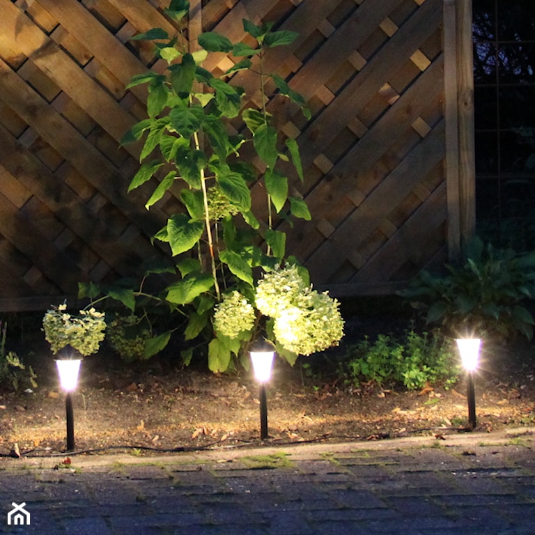 oświetlenie ogrodu, lampy ogrodowe