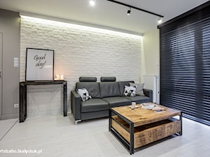 Mały biały szary salon, styl industrialny - zdjęcie od MANUstudio • projektowanie wnętrz