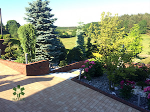 Nowoczesny ogród na skarpie - Ogród, styl nowoczesny - zdjęcie od NATUR Zielone Pogotowie / Michalina Trempała
