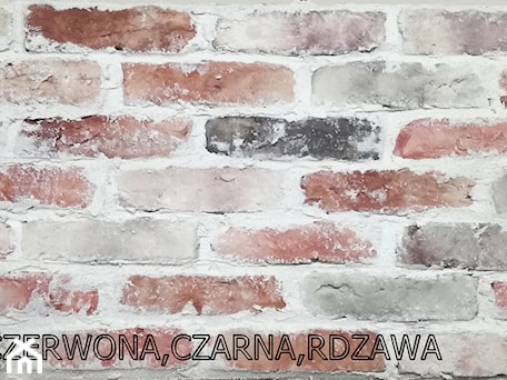 Aranżacje wnętrz - : Beżowo-czerwona,czarna,rdzawa - anika.pl. Przeglądaj, dodawaj i zapisuj najlepsze zdjęcia, pomysły i inspiracje designerskie. W bazie mamy już prawie milion fotografii!