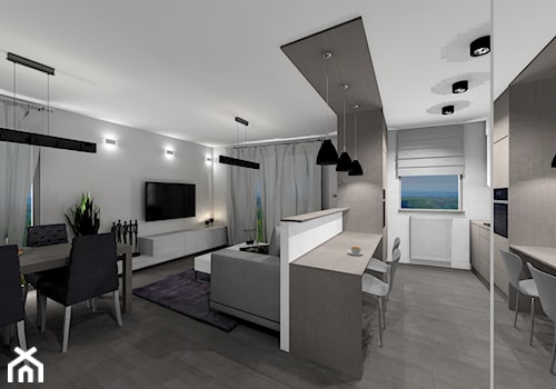 mieszkanie 59 m2 - Mały szary salon z kuchnią z jadalnią - zdjęcie od BushkoProjekt