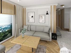 Apartament w Gdyni · Projekt - Salon, styl nowoczesny - zdjęcie od WOJSZ studio