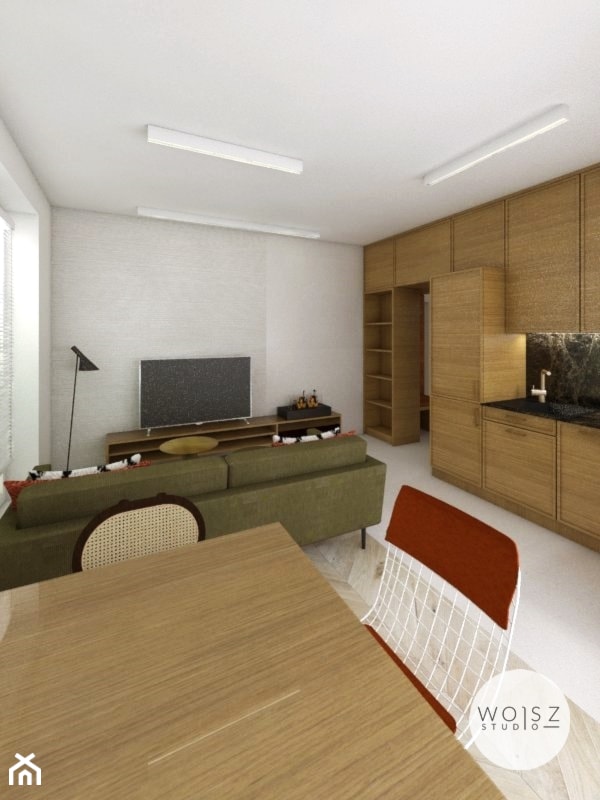 Mieszkanie w Płocku · Projekt - Salon, styl nowoczesny - zdjęcie od WOJSZ studio