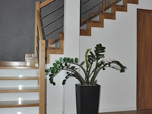 Metamorfoza domu jednorodzinnego,Wysoka-Zawiercie - Hol / przedpokój, styl nowoczesny - zdjęcie od STUDIO PNIAK