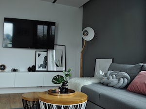 Mieszkanie Kraków,50m2. Realizacja - Mały biały szary salon, styl skandynawski - zdjęcie od STUDIO PNIAK