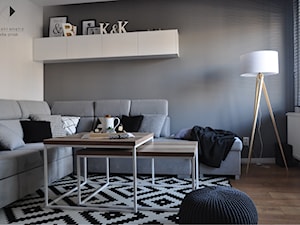 Metamorfoza domu jednorodzinnego,Wysoka-Zawiercie - Mały biały szary salon, styl skandynawski - zdjęcie od STUDIO PNIAK