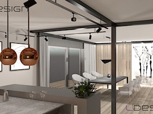 Projekt salonu z aneksem kuchennym w Gliwicach - Salon, styl nowoczesny - zdjęcie od Projektant elewacji, wnętrz i ogrodów