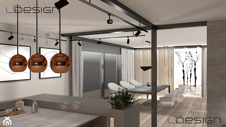 Projekt salonu z aneksem kuchennym w Gliwicach - Salon, styl nowoczesny - zdjęcie od LDesign - projekty elewacji, wnętrz i ogrodów