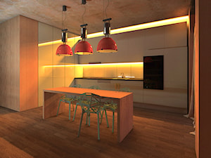 LISZKI - przytulne wnętrze z orientalnym charakterem - Kuchnia, styl industrialny - zdjęcie od katarzyna kmita / ARCHITEKT