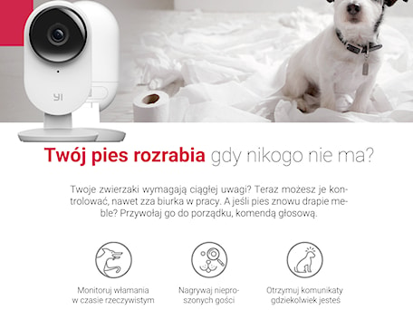 Aranżacje wnętrz - : - Yi.pl. Przeglądaj, dodawaj i zapisuj najlepsze zdjęcia, pomysły i inspiracje designerskie. W bazie mamy już prawie milion fotografii!