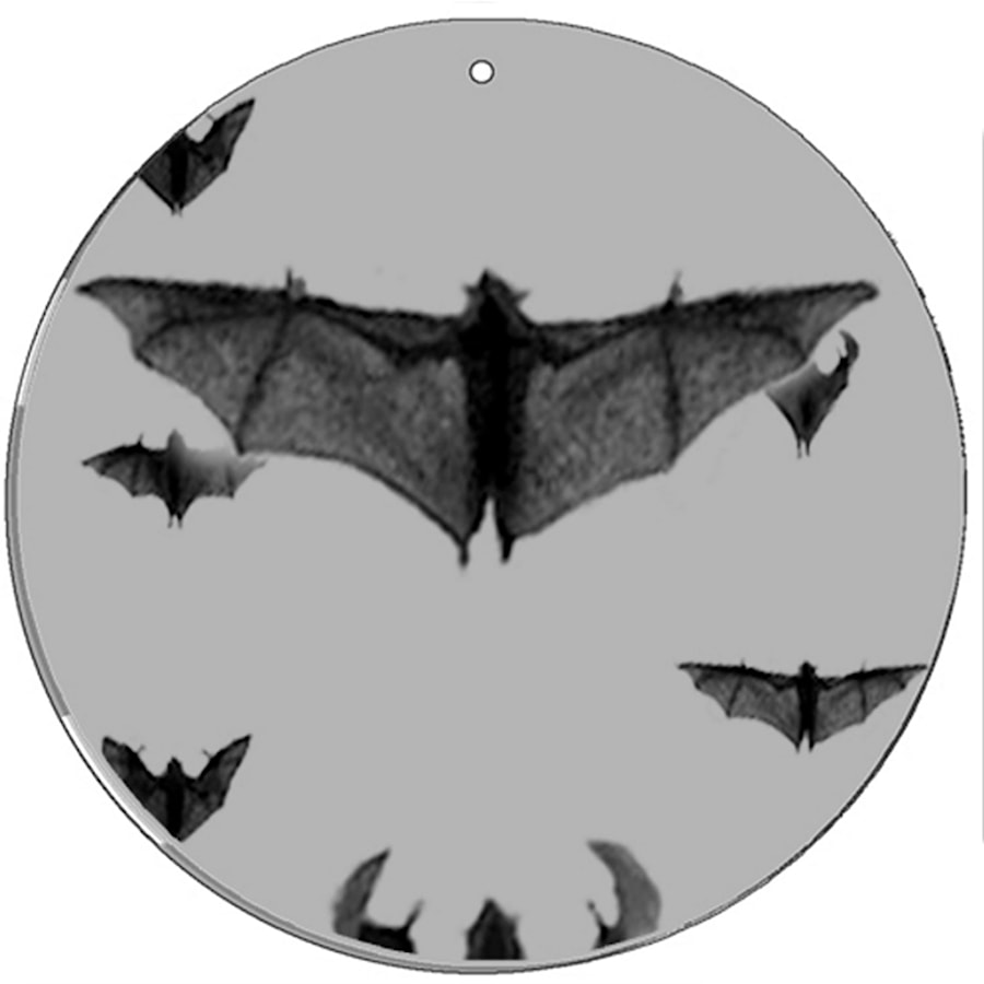 Bat - zdjęcie od Bogusia Optikal