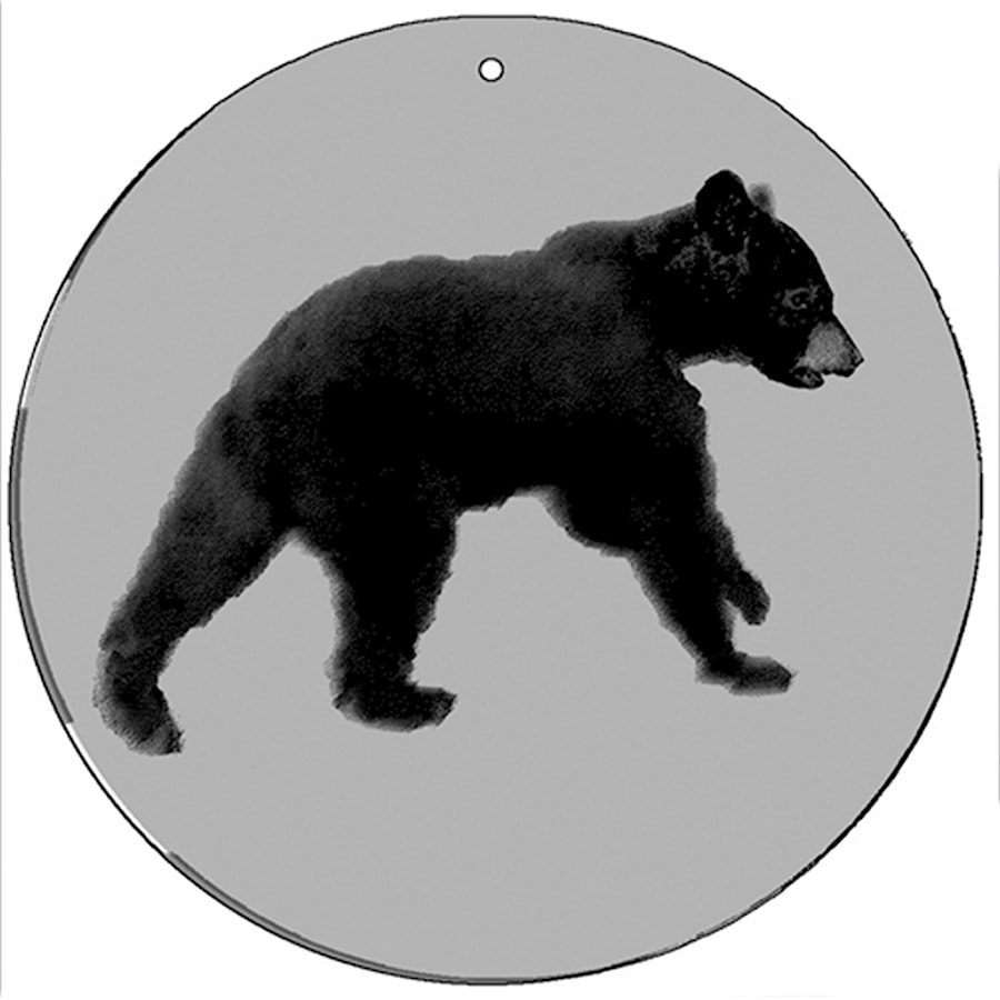 Black Bear - zdjęcie od Bogusia Optikal