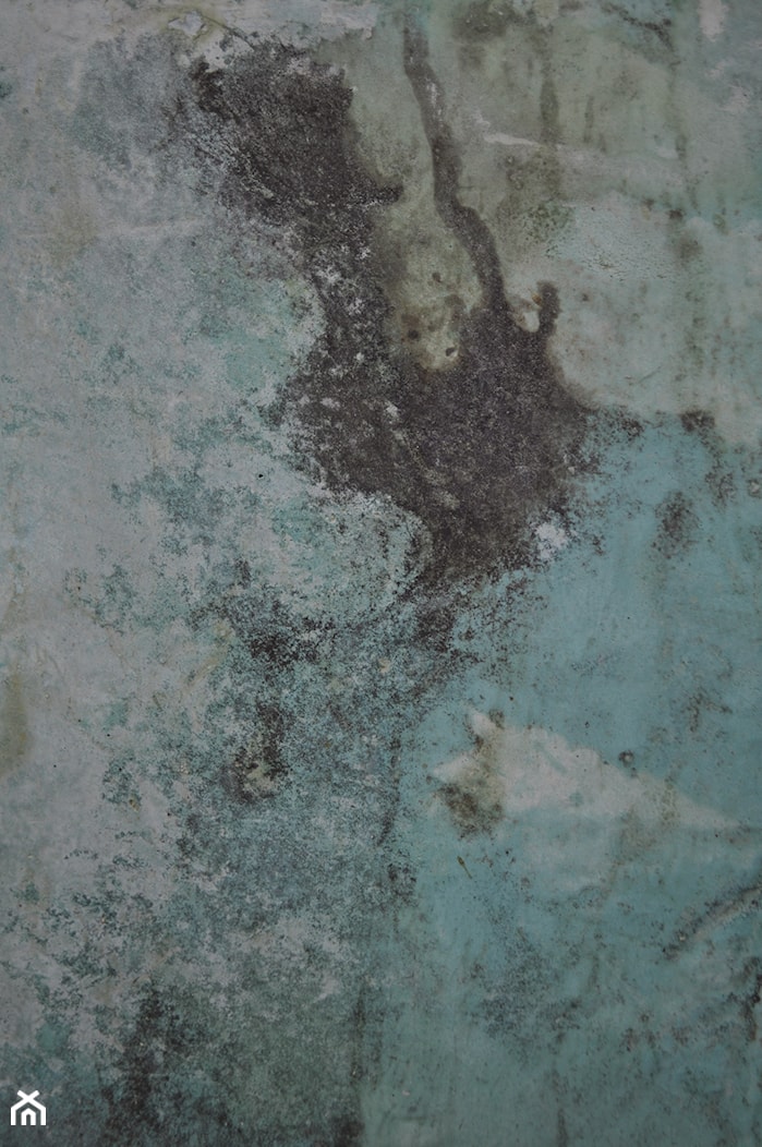 Kolorowy beton - zdjęcie od Beton Studio - Homebook