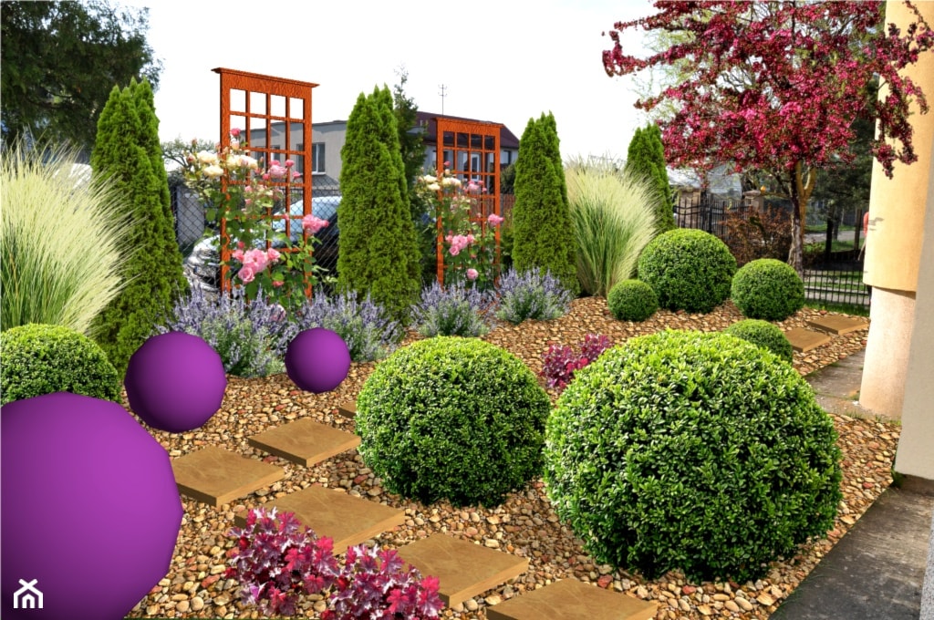 Fioletowa kula - zdjęcie od Flora-Serwis Projektowanie i urządzanie ogrodów - Homebook