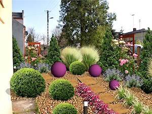 Fioletowa kula - zdjęcie od Flora-Serwis Projektowanie i urządzanie ogrodów