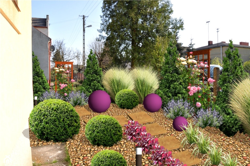 Fioletowa kula - zdjęcie od Flora-Serwis Projektowanie i urządzanie ogrodów - Homebook
