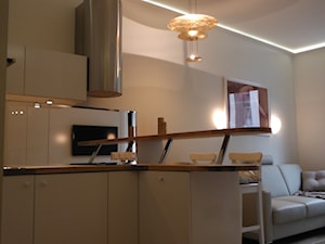 malutki apartament na Powiślu 26m2 - Mała otwarta z salonem z zabudowaną lodówką kuchnia w kształcie litery l, styl nowoczesny - zdjęcie od lorenc agnieszka