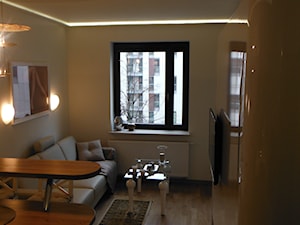 malutki apartament na Powiślu 26m2 - Salon, styl tradycyjny - zdjęcie od lorenc agnieszka