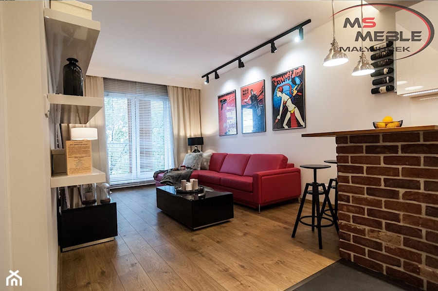 Salon z elementami popart w apartamencie - zdjęcie od MS-Meble Małyjurek
