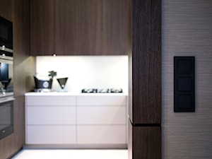 Kuchnia - Kuchnia, styl nowoczesny - zdjęcie od Pleń+Daniłów Interior Design