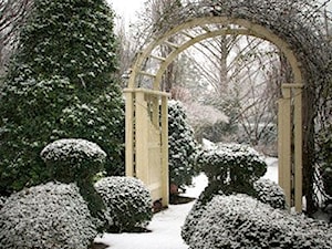 Piękny ogród zimowu - zdjęcie od Aleksandra Kura