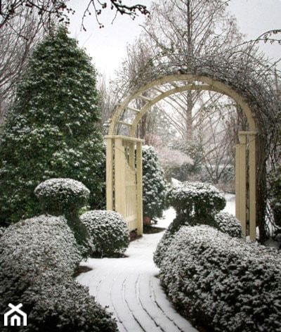 Piękny ogród zimowu - zdjęcie od Aleksandra Kura