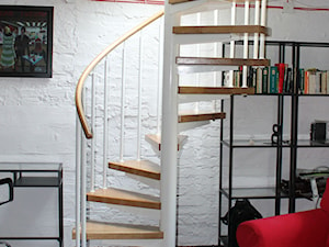 Schody spiralne do piwnicy, przekształconej na livingroom. - zdjęcie od BUDINOX Schody i Balustrady