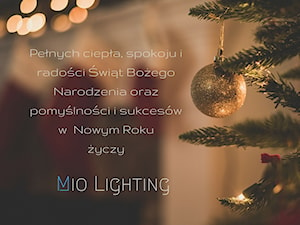 - zdjęcie od Mio Lighting