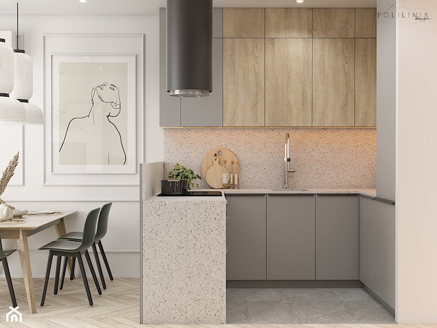 Strefa dzienna domu jednorodzinnego - Kuchnia, styl nowoczesny - zdjęcie od Polilinia Design
