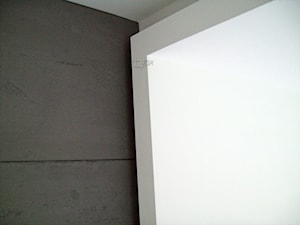 płyty betonowe, beton architektoniczny - zdjęcie od RTM Wykończenia wnętrz Poznań, Swarzędz
